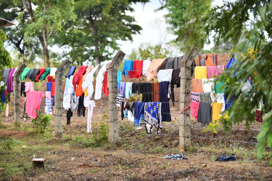 Colorful clothes drying on a rustic fence in a forest setting, showcasing a rural lifestyle.