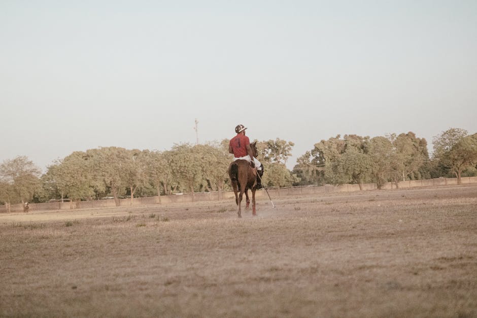 A polo player in red riding a horse on a field, showcasing the sport and landscape.