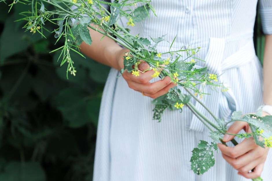 A close-up of a woman holding wildflowers, highlighting natural beauty and elegance.