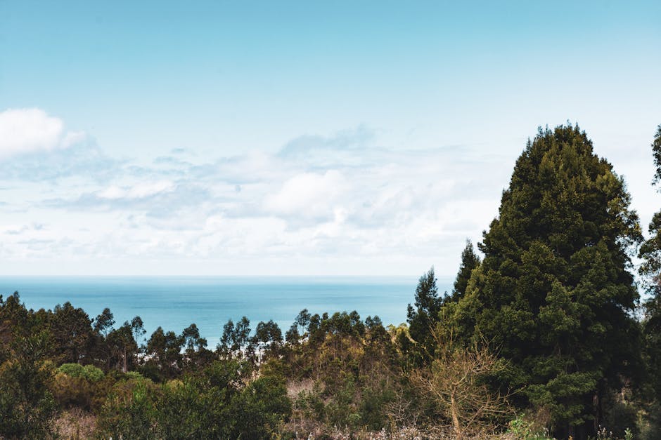 Everlane vs. J.Crew Work Blouses: Which Brand Actually Lasts in 2026