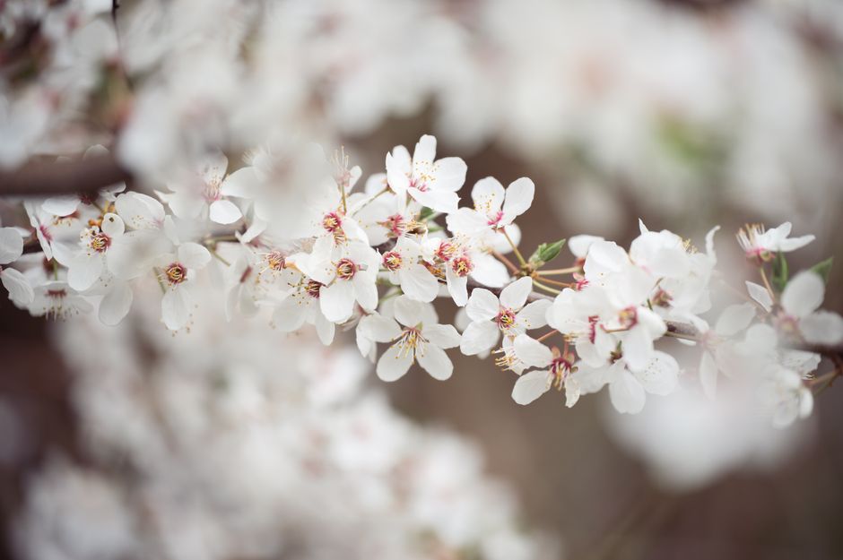 Winter To Spring Wardrobe Transition: 6 Winter-to-Spring Wardrobe Myths That Cost You Money